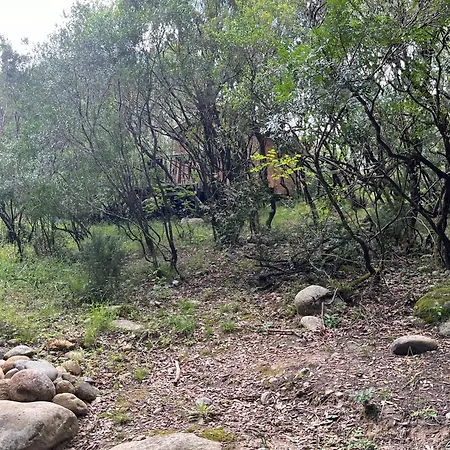 Séjour chez l'habitant Petit Chalet En Pleine Nature Avec Acces Riviere Venaco (Corsica)